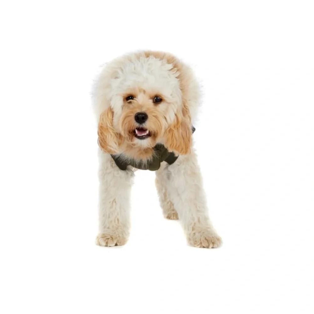 🦋 PAJAR PUP Green Military Zeus Jacket For Dogs with Faux Fur Trim NWT $98